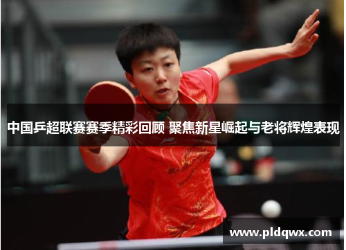 中国乒超联赛赛季精彩回顾 聚焦新星崛起与老将辉煌表现