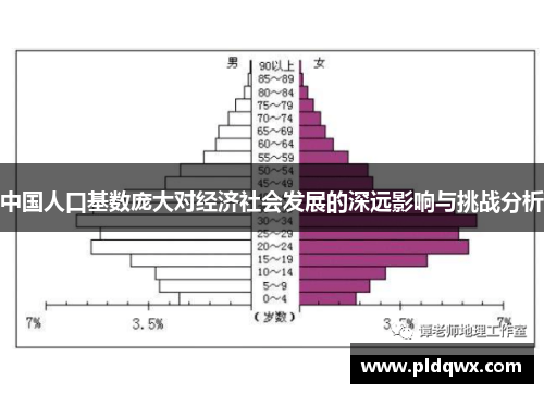 中国人口基数庞大对经济社会发展的深远影响与挑战分析
