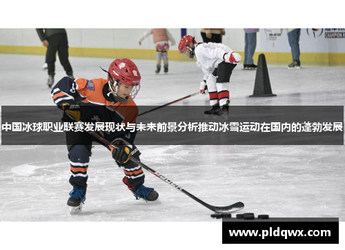 中国冰球职业联赛发展现状与未来前景分析推动冰雪运动在国内的蓬勃发展