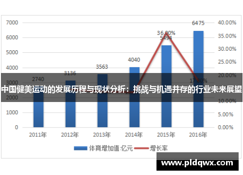 中国健美运动的发展历程与现状分析：挑战与机遇并存的行业未来展望