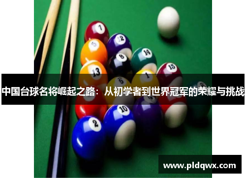 中国台球名将崛起之路：从初学者到世界冠军的荣耀与挑战