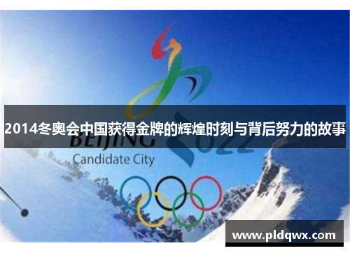 2014冬奥会中国获得金牌的辉煌时刻与背后努力的故事