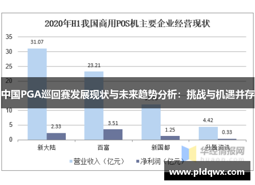 中国PGA巡回赛发展现状与未来趋势分析：挑战与机遇并存