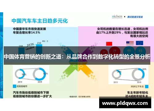 中国体育营销的创新之道：从品牌合作到数字化转型的全景分析