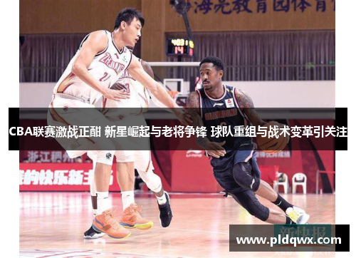 CBA联赛激战正酣 新星崛起与老将争锋 球队重组与战术变革引关注