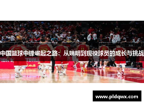 中国篮球中锋崛起之路：从姚明到现役球员的成长与挑战