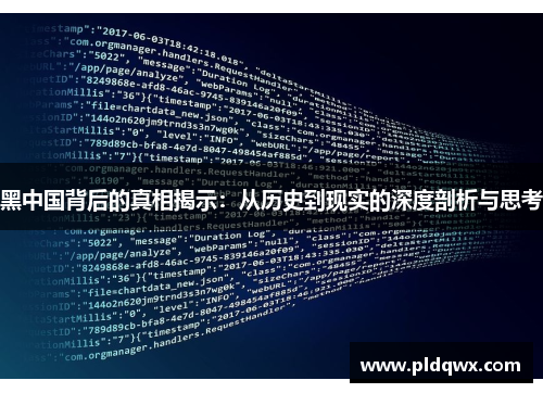 黑中国背后的真相揭示：从历史到现实的深度剖析与思考
